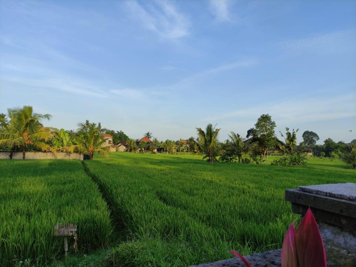 Anggarakasih Ubud Villa Exterior photo